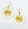 Ra Hoops